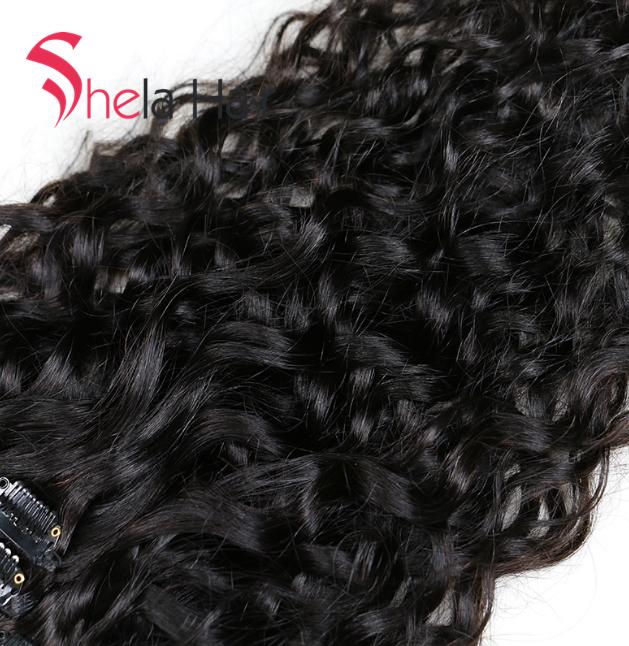 Shela Hair Clip In Human Hair Extensions Natural Water Wave 120G Natural Color 8 Pieces/Set